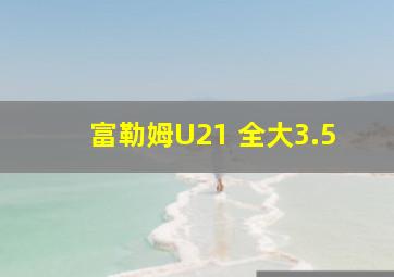 富勒姆U21 全大3.5